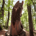 Horse - Afbeelding 5